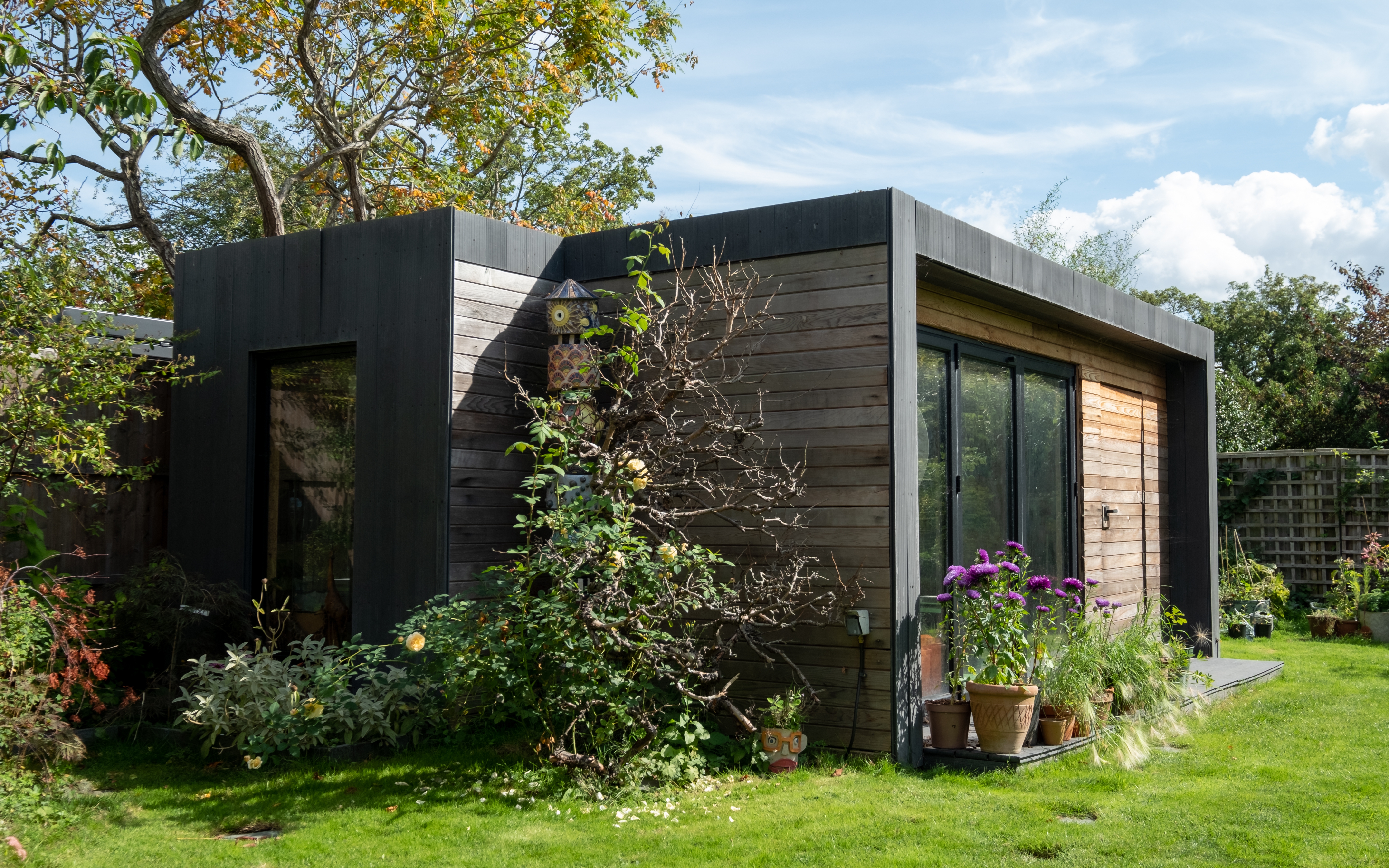 modern wood clad insulated garden room in london surrounded by flowers and grass